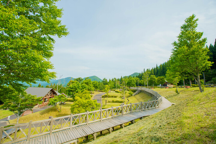 Shi00056