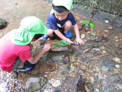 川遊び(お泊り保育)