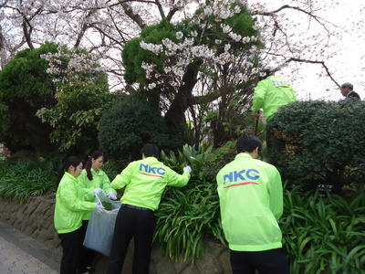 Nkcシェードガーデン