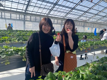 いちご狩り（互助会）