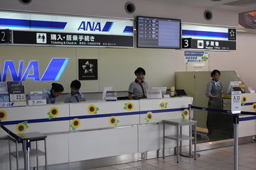 Img 4754