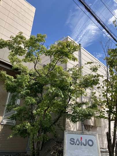 表紙写真案②