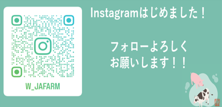 画像1（インスタ図）
