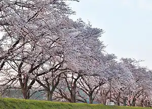 南部町