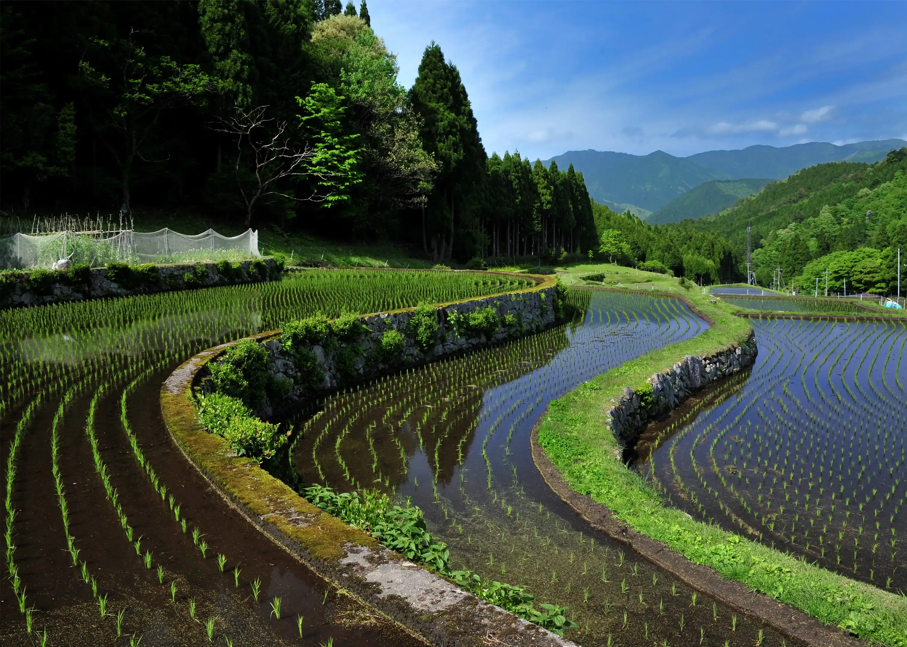 智頭町