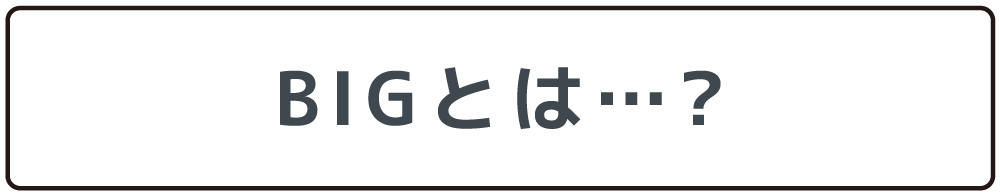 BIGとは・・・？