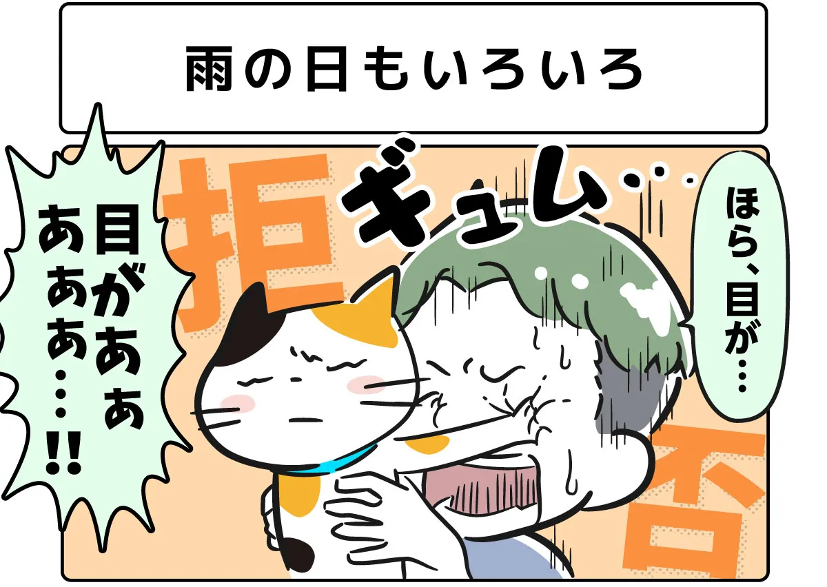 雨の日もいろいろ