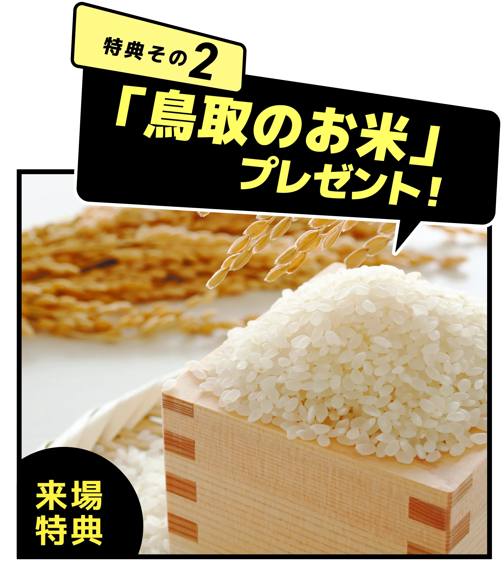 特典その2