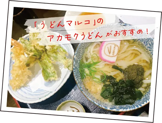 うどんマルコのアカモクうどんがおすすめ