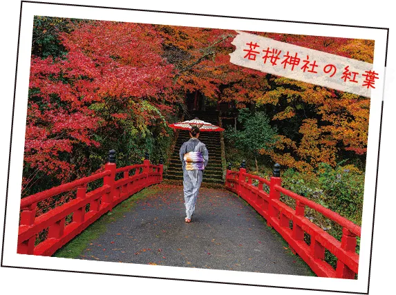 若桜神社の紅葉