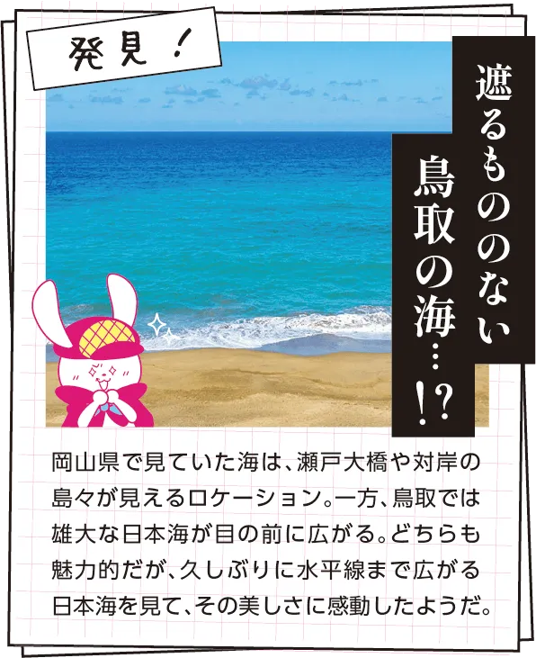 発見　岡山県で見ていた海は、瀬戸大橋や対岸の島々が見えるロケーション。一方、鳥取では雄大な日本海が目の前に広がる。どちらも魅力的だが、久しぶりに水平線まで広がる日本海を見て、その美しさに感動したようだ