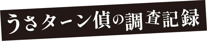 うさターン偵の調査記録