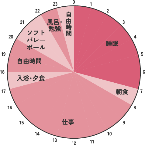 平日と休日の過ごし方の円グラフ