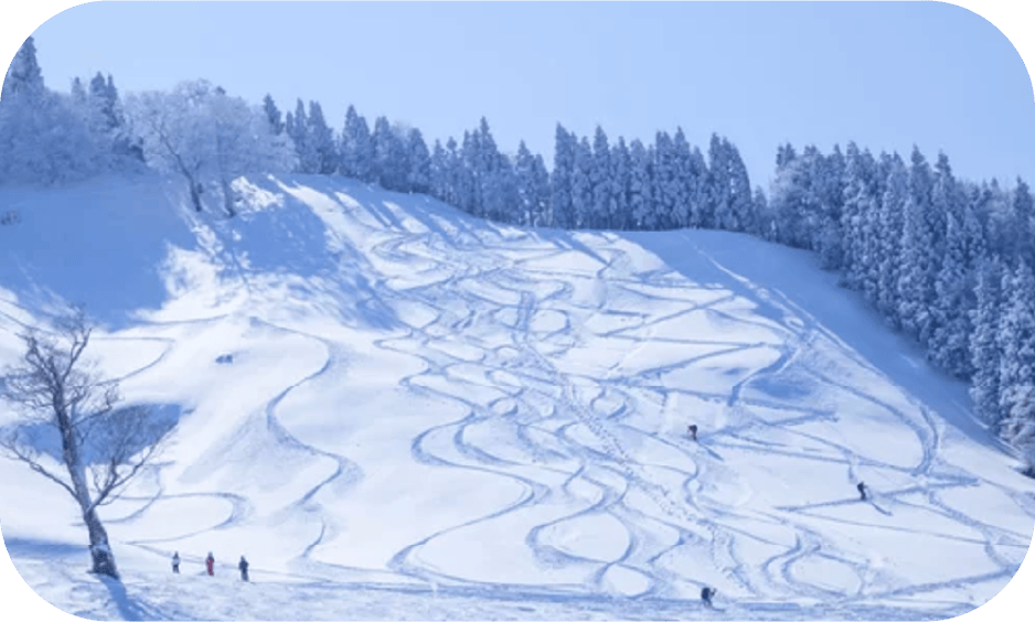 氷ノ山ゲレンデ