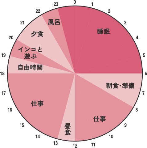 平日と休日の過ごし方の円グラフ